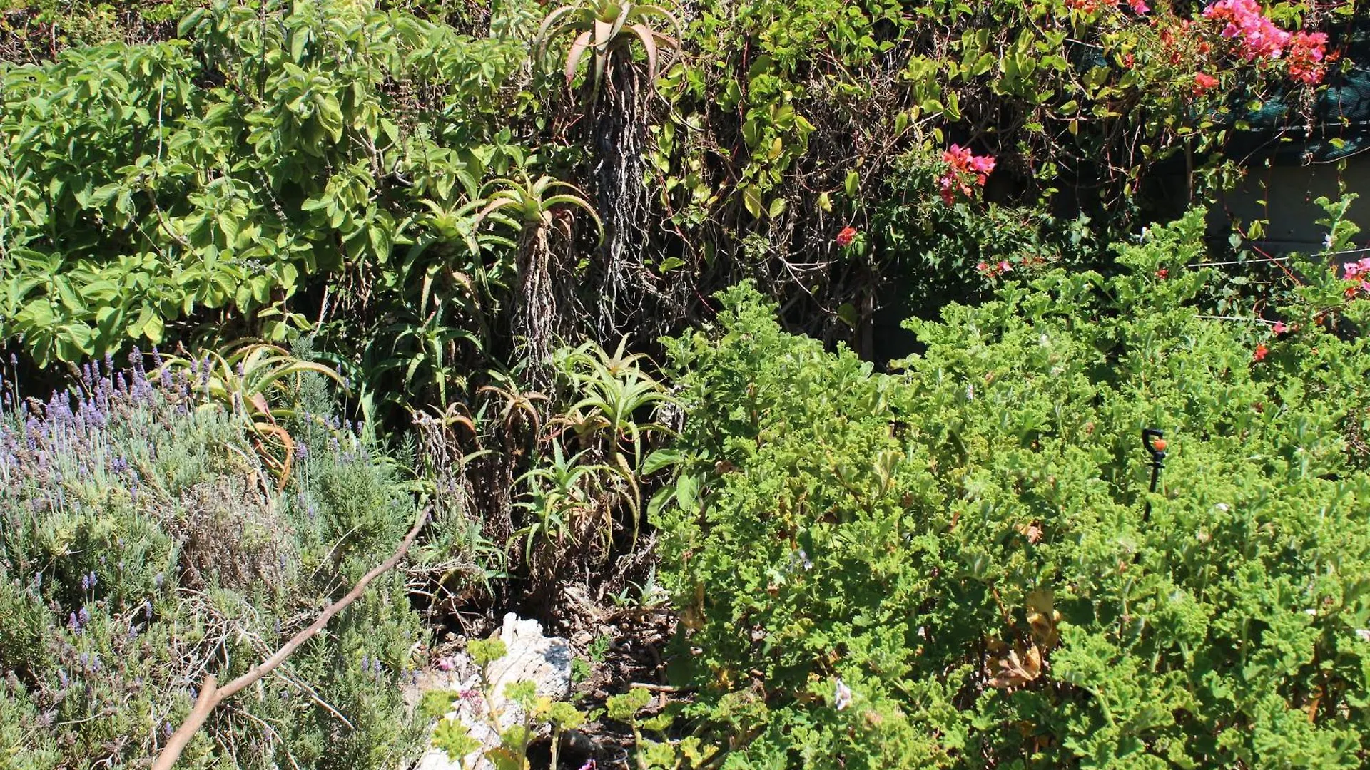 Bed & Breakfast Seaside Sanctuary Kommetjie Cape Town South Africa